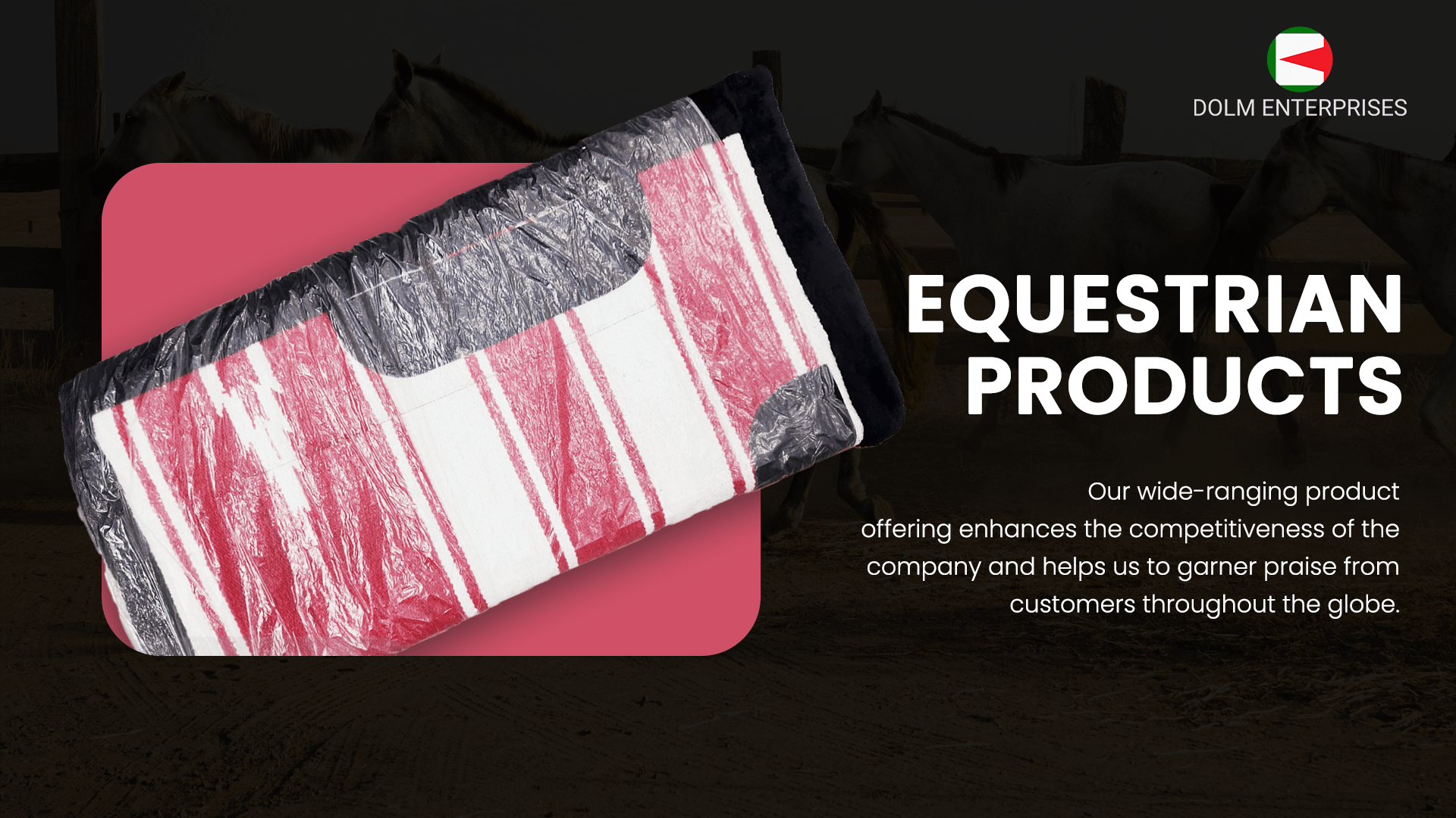 DOLM Equestrian Products | High Quality Products